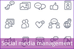 social-media-management